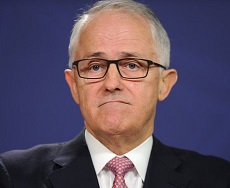 Will Turnbull be PM this time next year?
